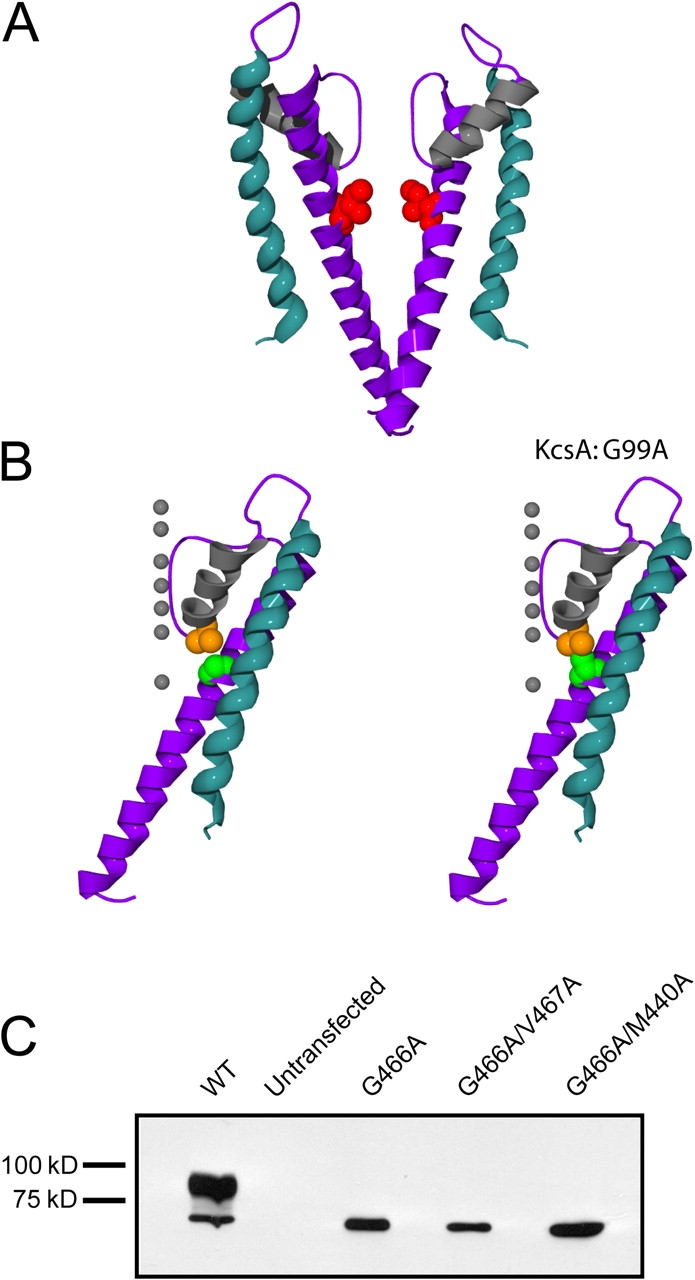 Figure 10.