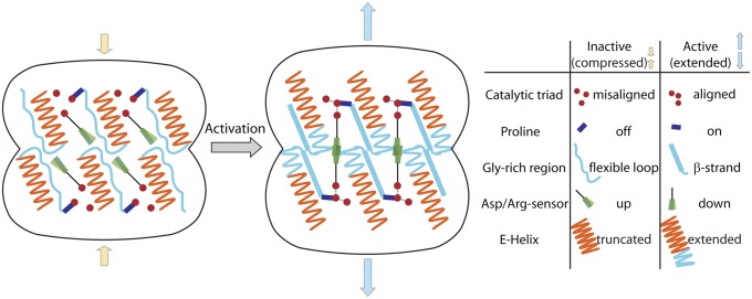 Fig. 7.