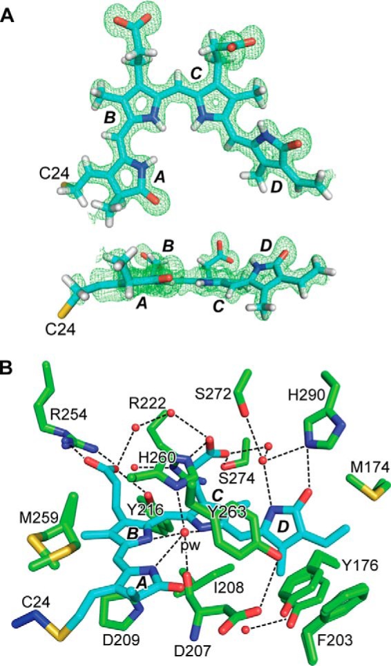 FIGURE 2.