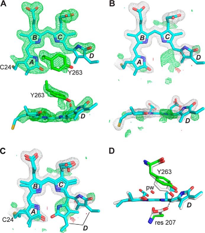 FIGURE 3.