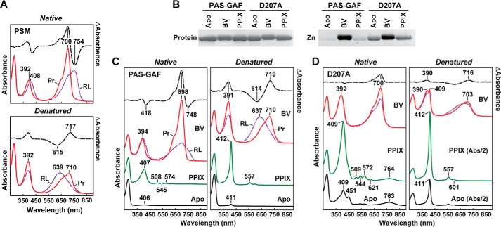 FIGURE 4.