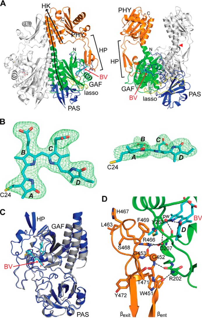 FIGURE 5.