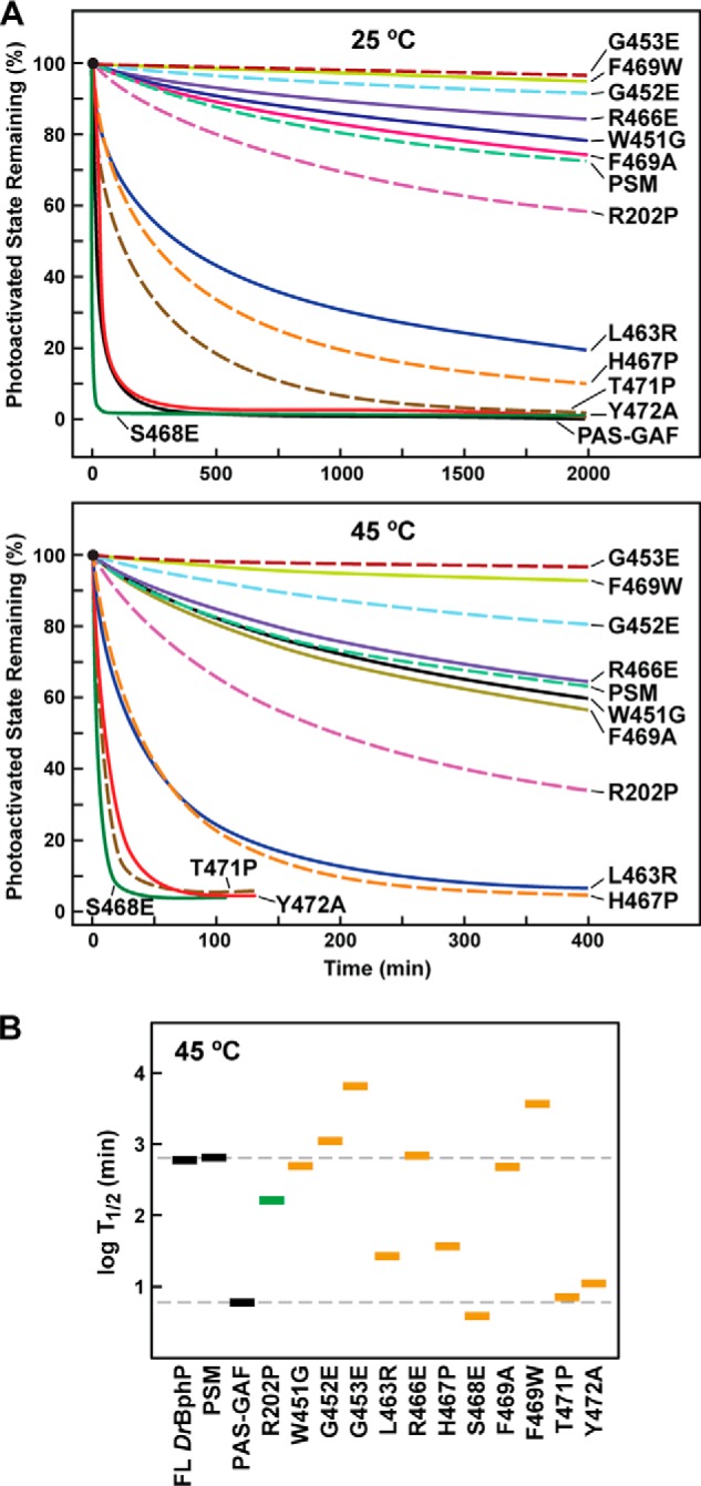 FIGURE 10.