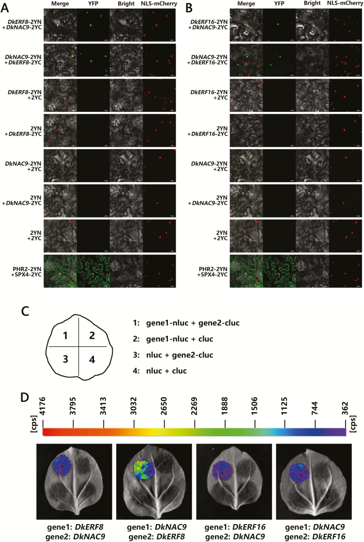 Fig. 6.