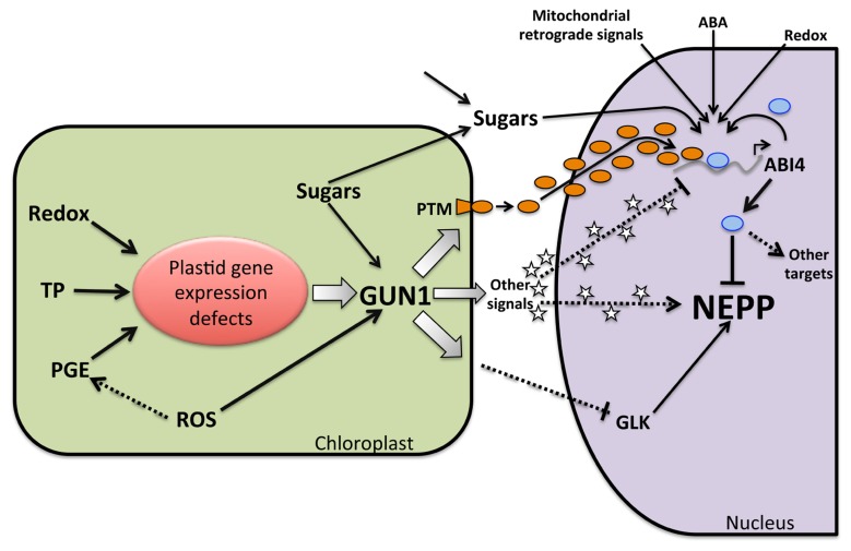 FIGURE 3