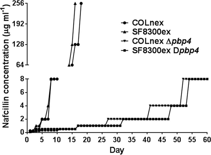 FIG 5