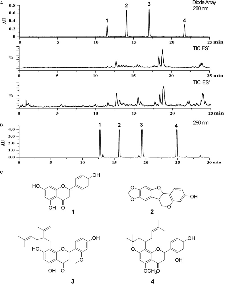 FIGURE 1