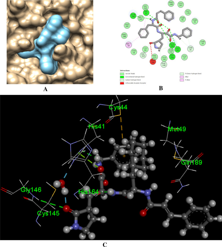 Fig. 9