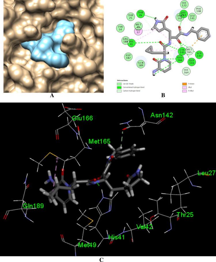 Fig. 12