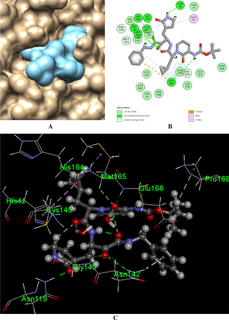 Fig. 11