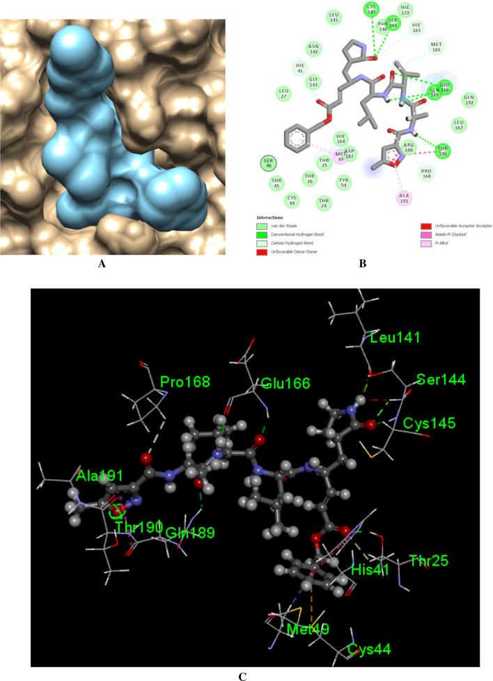 Fig. 6