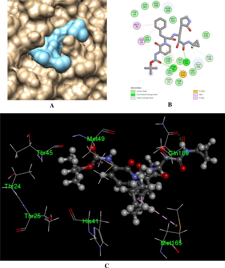 Fig. 10