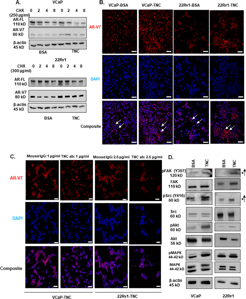 Fig.4