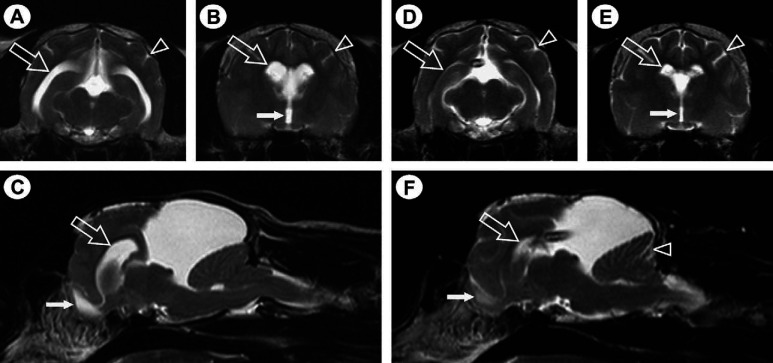 Fig 1.