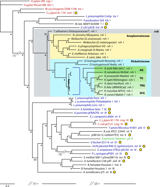 FIG. 2.