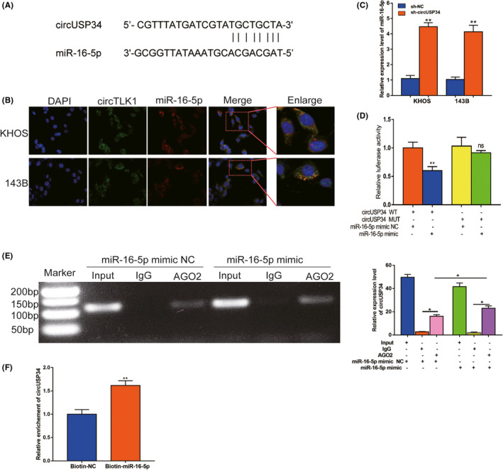 FIGURE 3