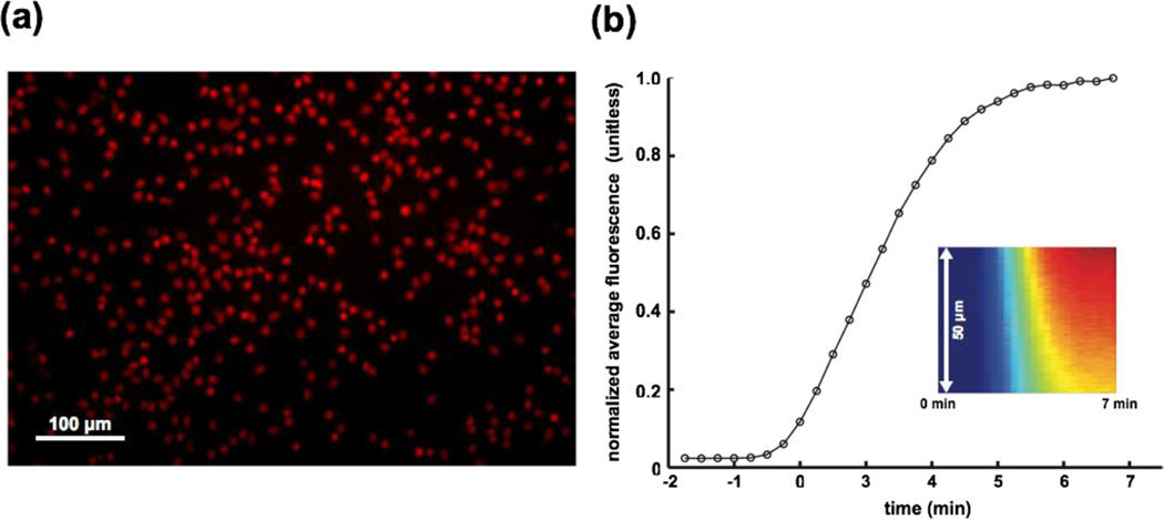 Fig. 8