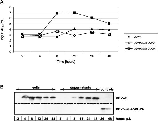 FIG. 4.