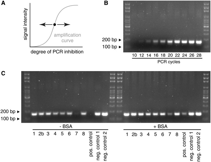 Fig 10