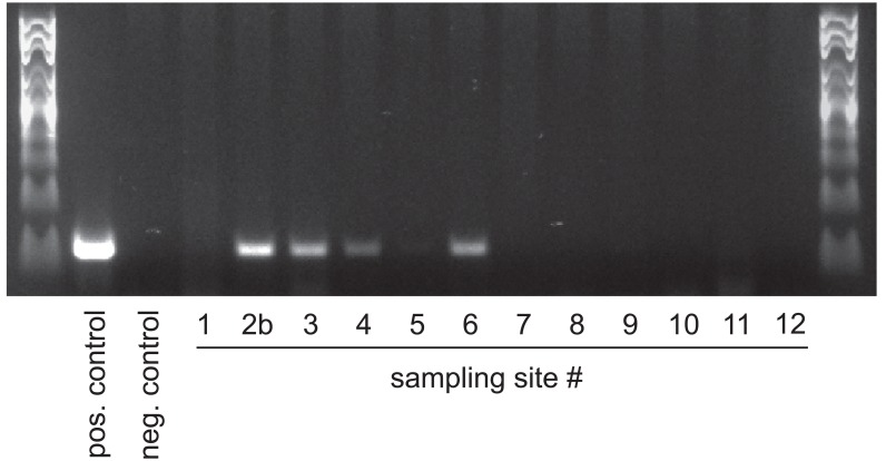 Fig 9