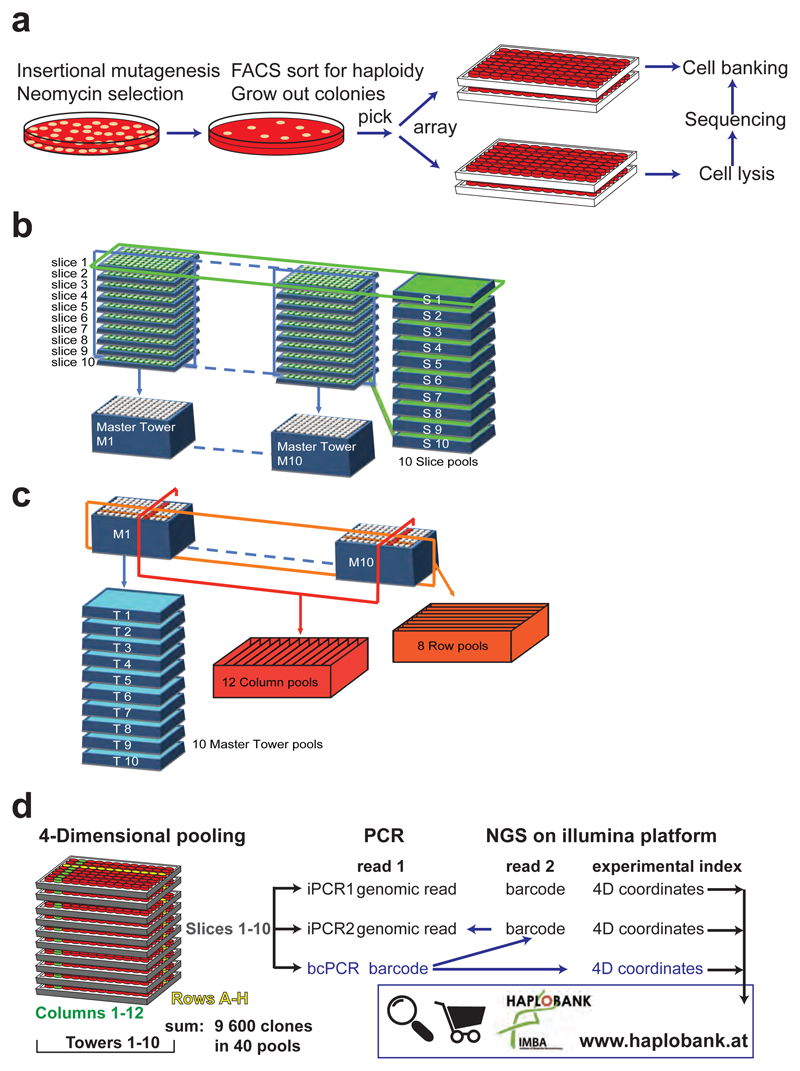 Extended Data Figure 6