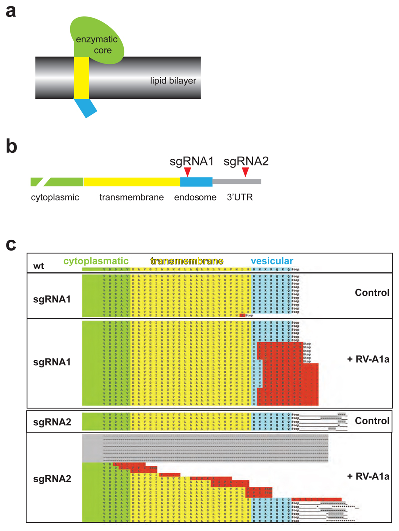 Extended Data Figure 11