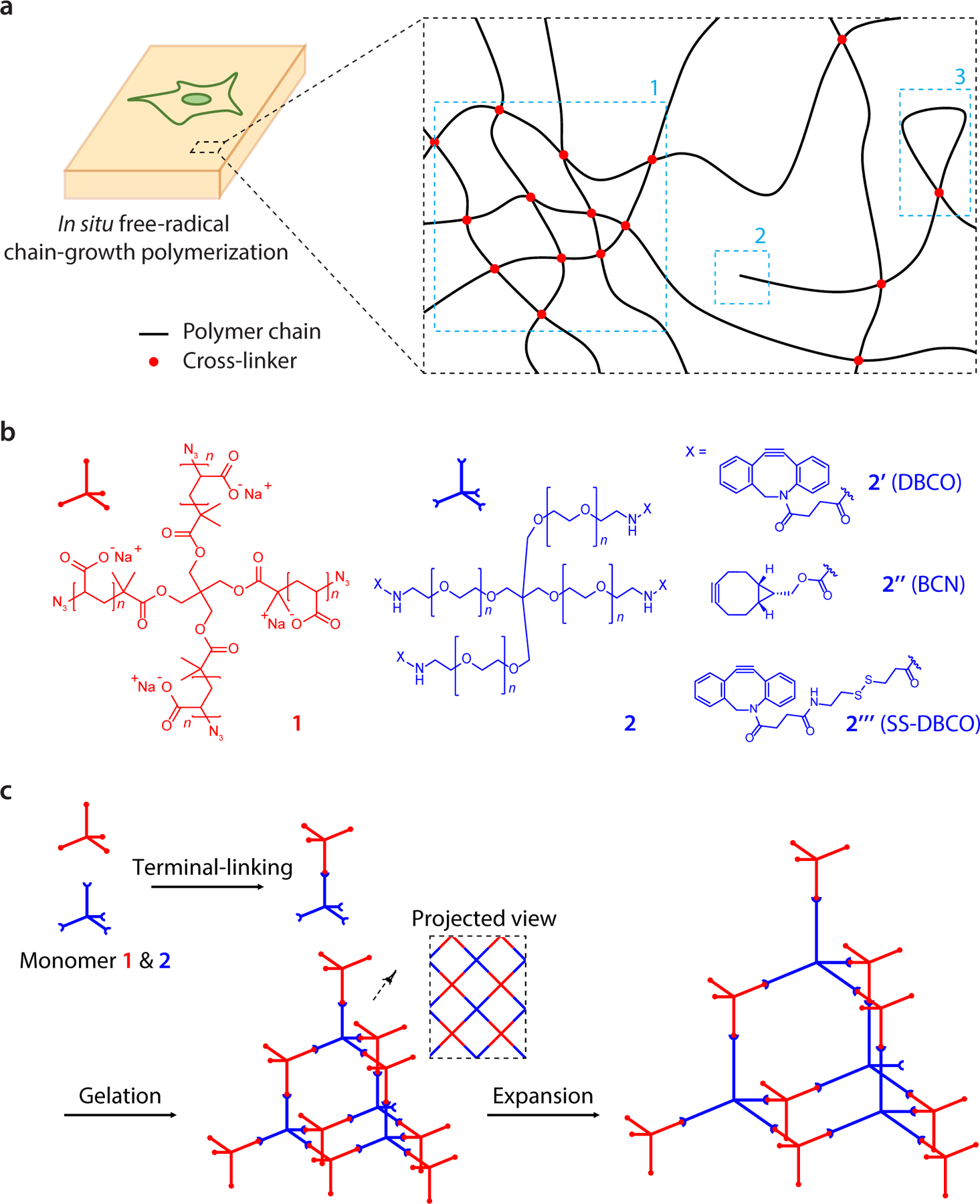 Figure 1.