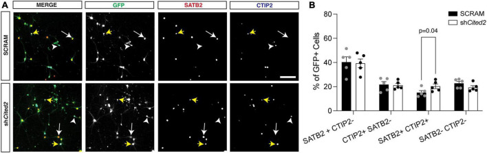 FIGURE 3