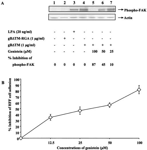 FIG. 10.