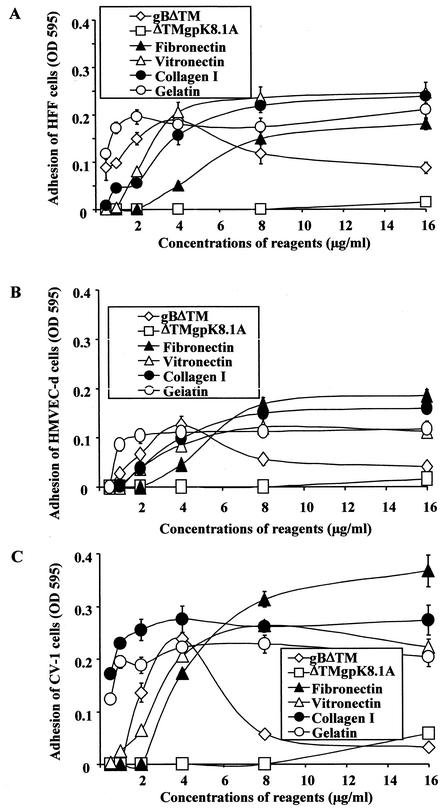 FIG. 5.