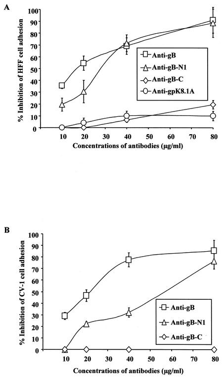 FIG. 7.