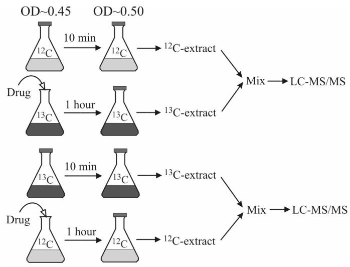 Fig. 5