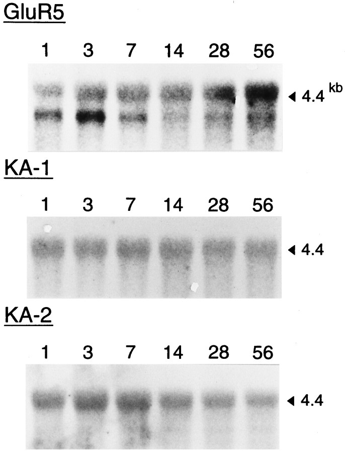 Fig. 9.