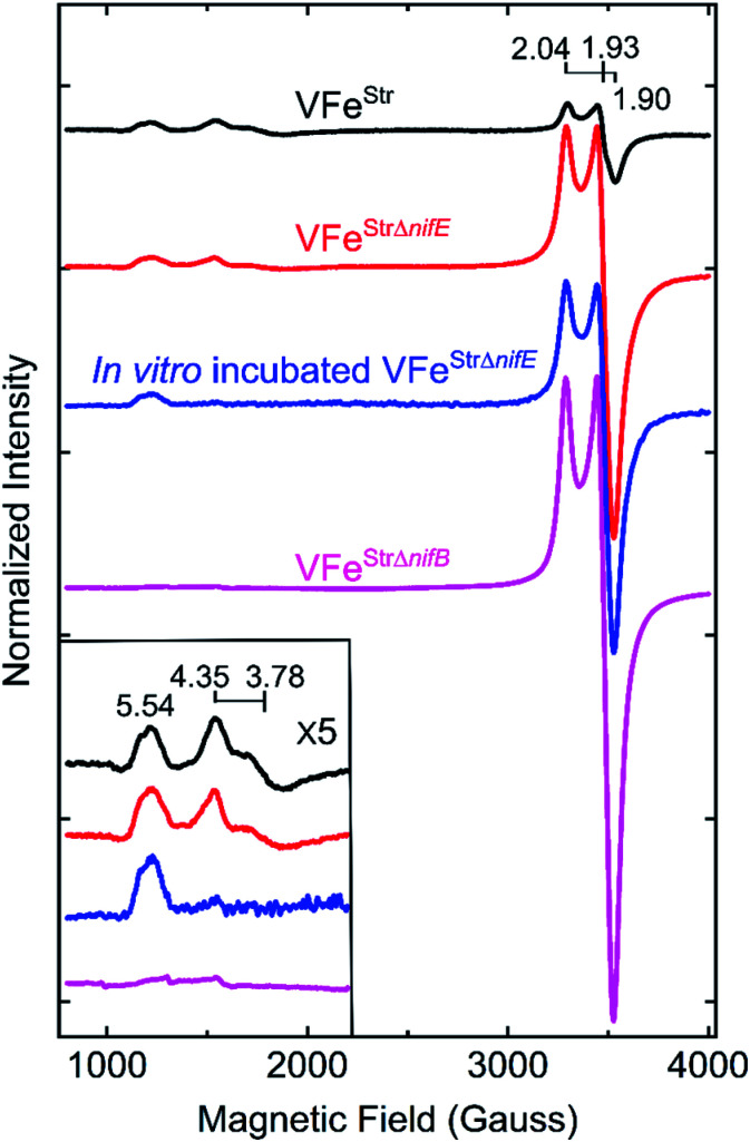 Fig. 3