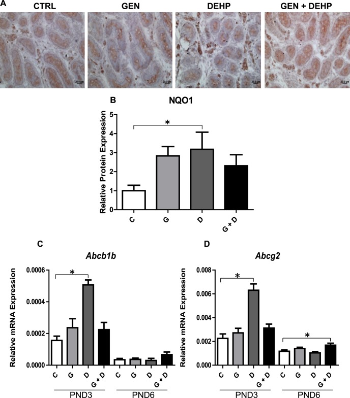 FIG. 7