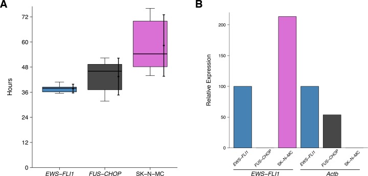 Figure 2—figure supplement 1.