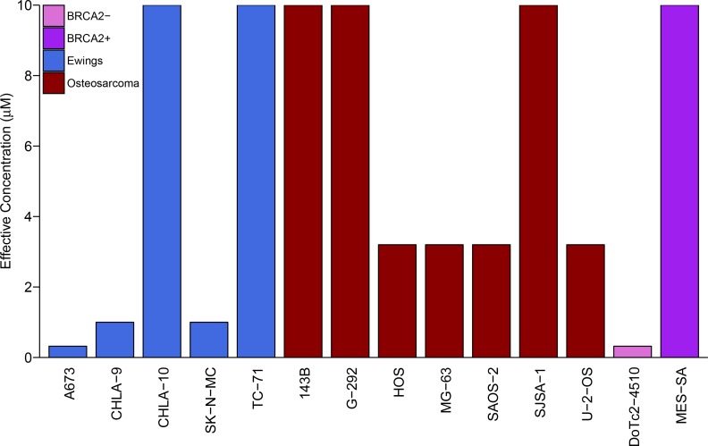 Figure 1—figure supplement 1.