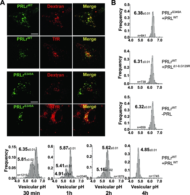 FIG. 4.