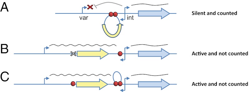 Fig. P1.