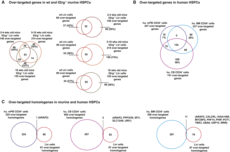 Figure 6