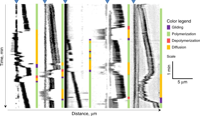 Fig. 7