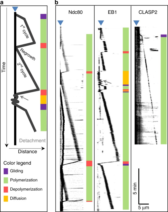 Fig. 6