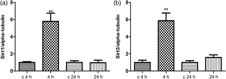 Fig. 2.