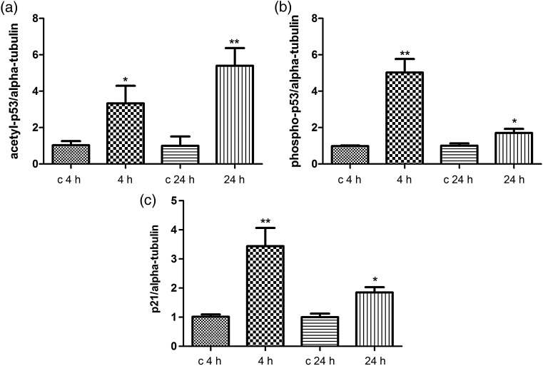 Fig. 3.