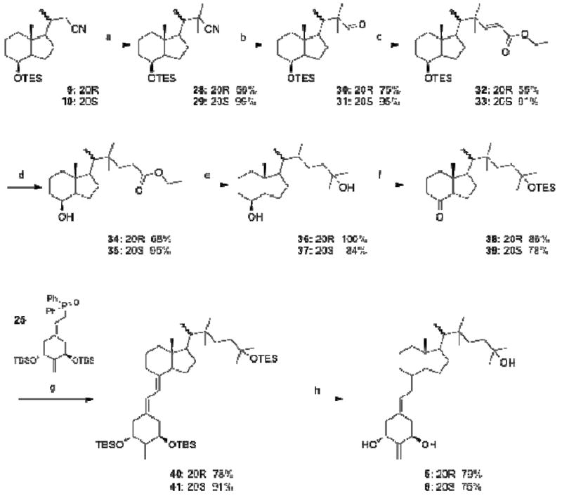 Scheme 2