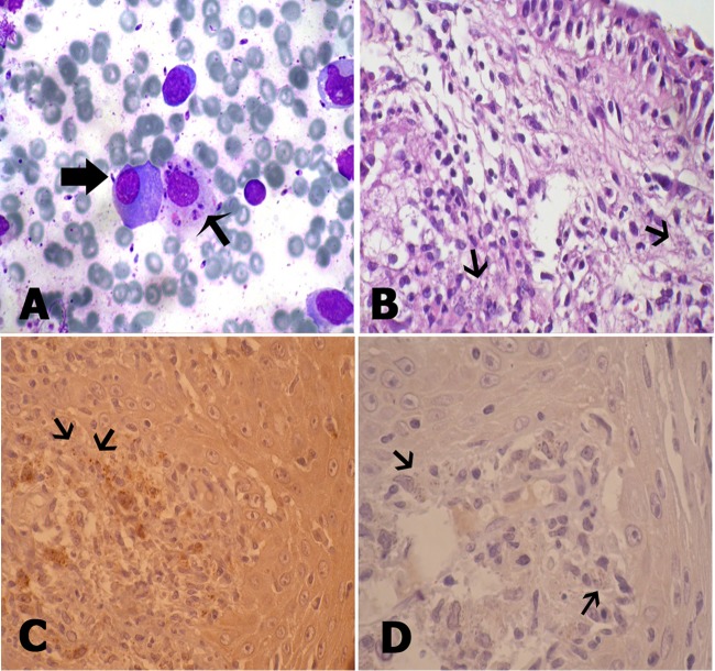 Fig 2