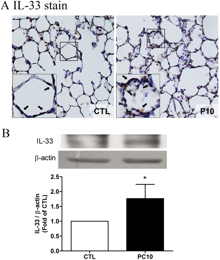 Fig 5