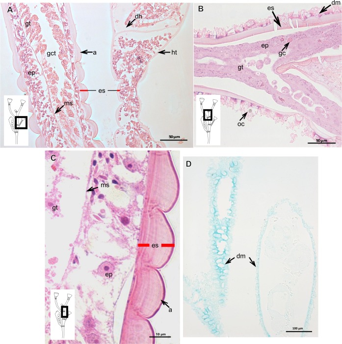 Figure 20