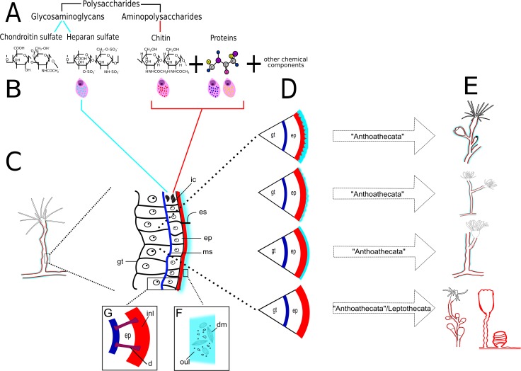 Figure 23