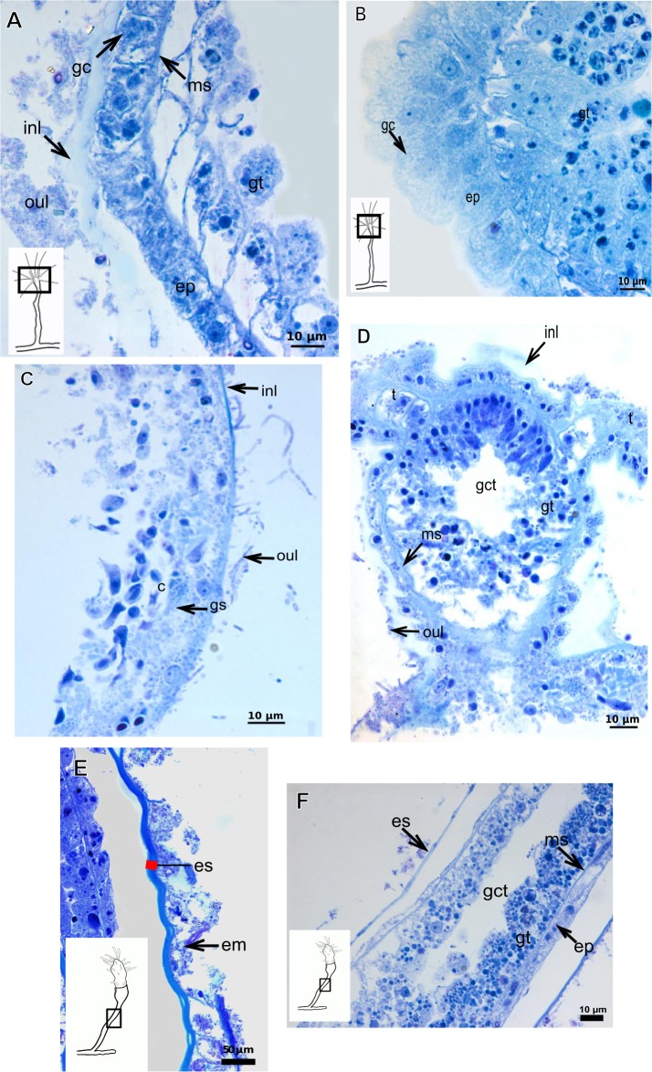 Figure 22